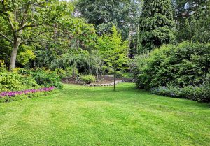 Optimiser l'expérience du jardin à Boissay